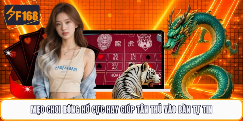 Mẹo Chơi Rồng hổ Cực Hay Giúp Tân Thủ Vào Bàn Tự Tin